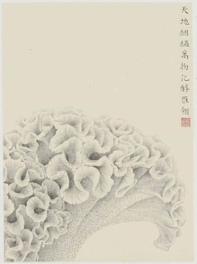 微信图片_20210613235937
