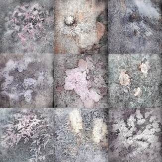 张睿思-《人间草木》-81cmX117cm-铜版画印制手绘综合稿(版画纸、锌板、水彩).jpg