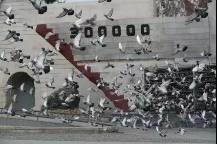 微信图片_20201214222049