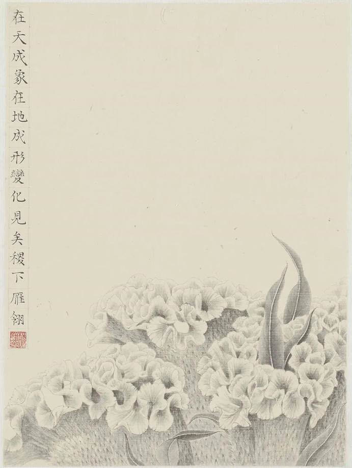 微信图片_20210613235934